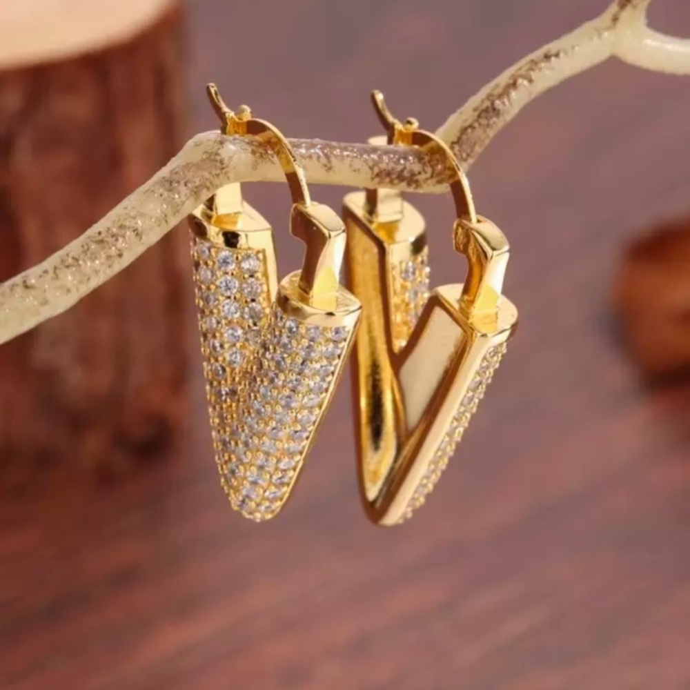 Elegant Gold and Silver Hoop Earrings
